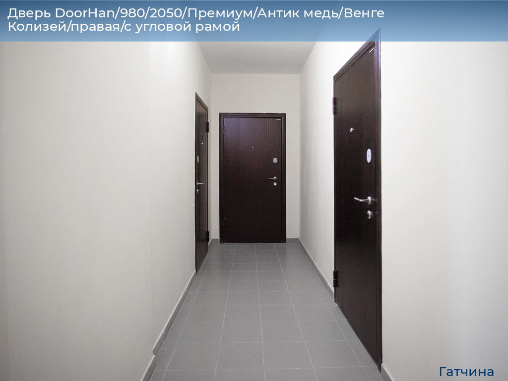 Дверь DoorHan/980/2050/Премиум/Антик медь/Венге Колизей/правая/с угловой рамой, gatchina.doorhan.ru