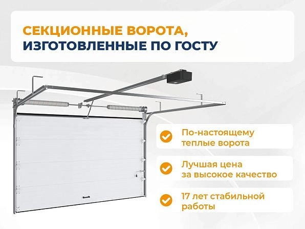 Cекционные ворота 2600х2500 мм белые DoorHan RSD02, gatchina.doorhan.ru